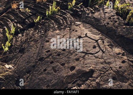 Big Island, Hawaii, Hawaii Volacoes National Park, Pu`uloa Petroglyphs in the ahupua`a(land division) of Panau Nui Stock Photo